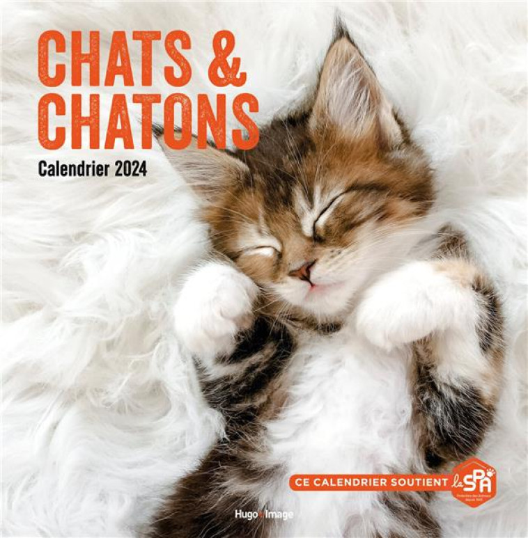 CALENDRIER MURAL CHATS ET CHATONS 2024 - COLLECTIF - NC