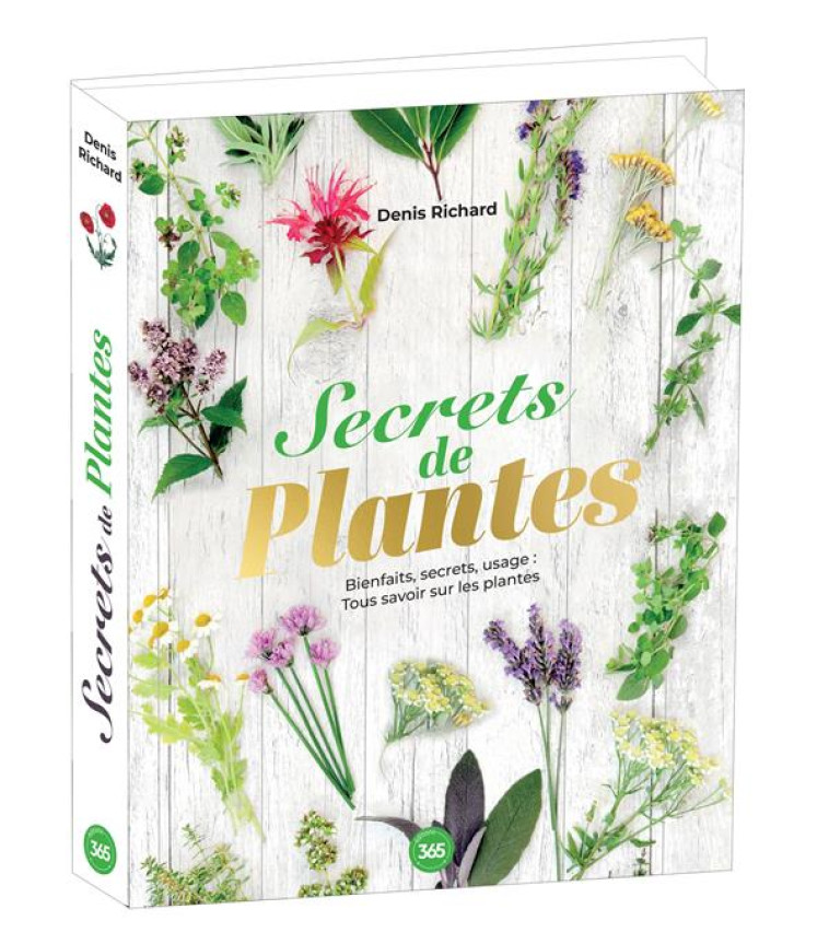 SECRETS DE PLANTES, BIENFAITS ET USAGES - RICHARD DENIS - 365 PARIS