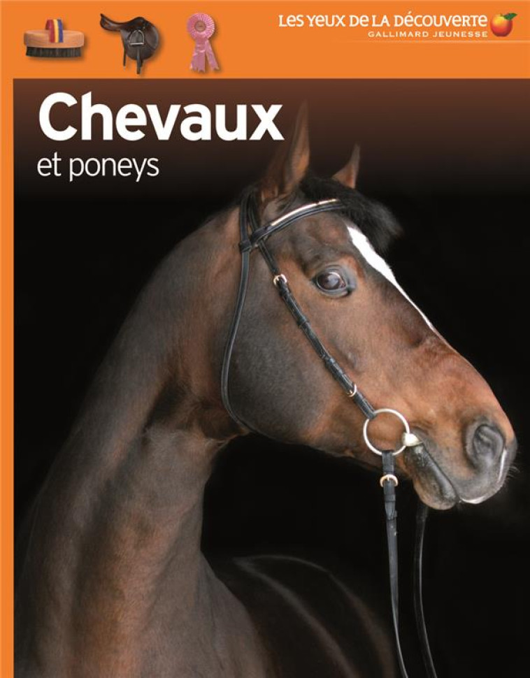 CHEVAUX ET PONEYS - CLUTTON-BROCK, JULIET - Gallimard-Jeunesse