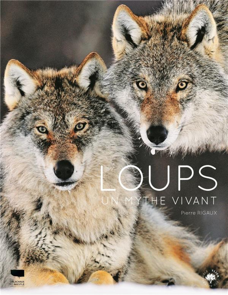 LOUPS - UN MYTHE VIVANT - RIGAUX PIERRE - DELACHAUX