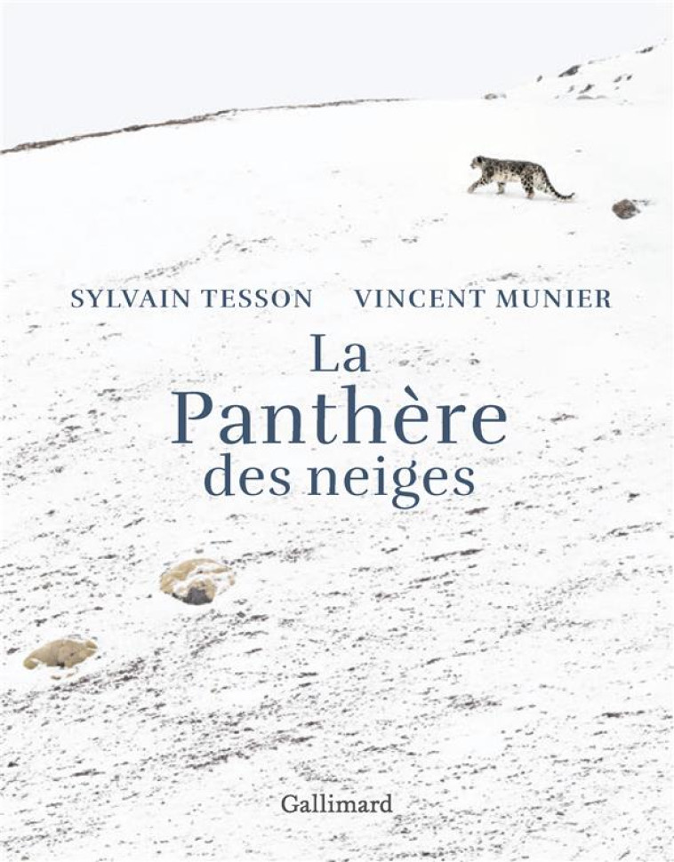 LA PANTHERE DES NEIGES - EDITION ILLUSTREE - MUNIER/TESSON - GALLIMARD