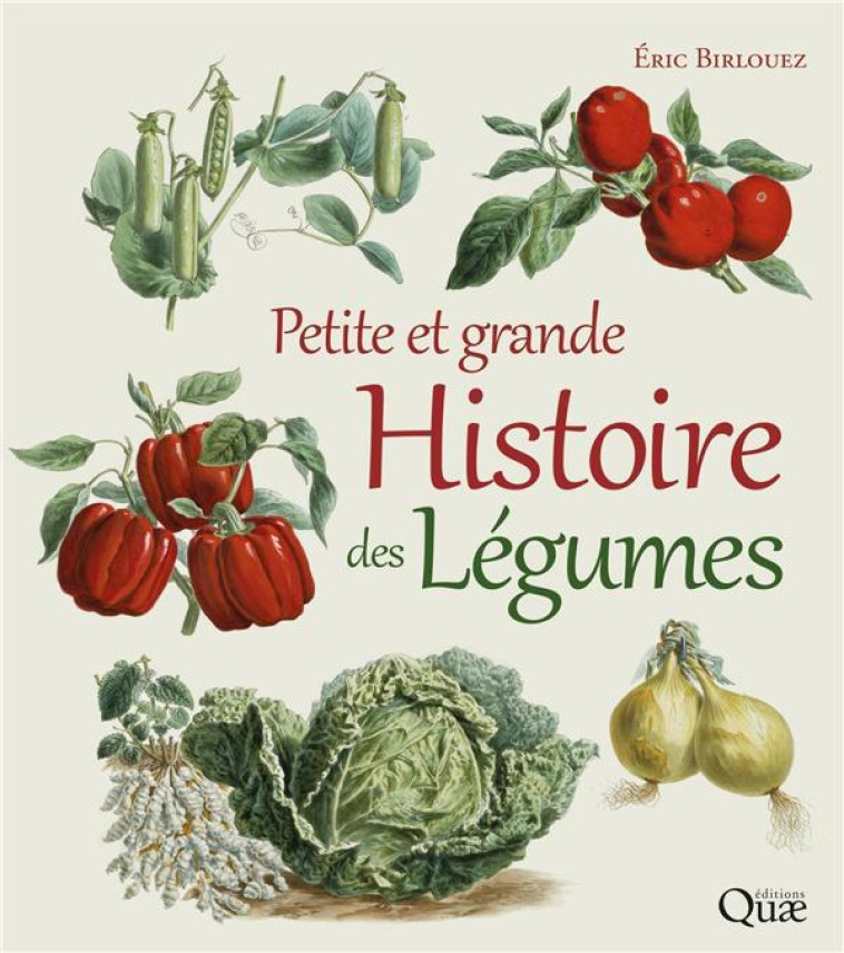 PETITE ET GRANDE HISTOIRE DES LEGUMES - BIRLOUEZ ERIC - QUAE