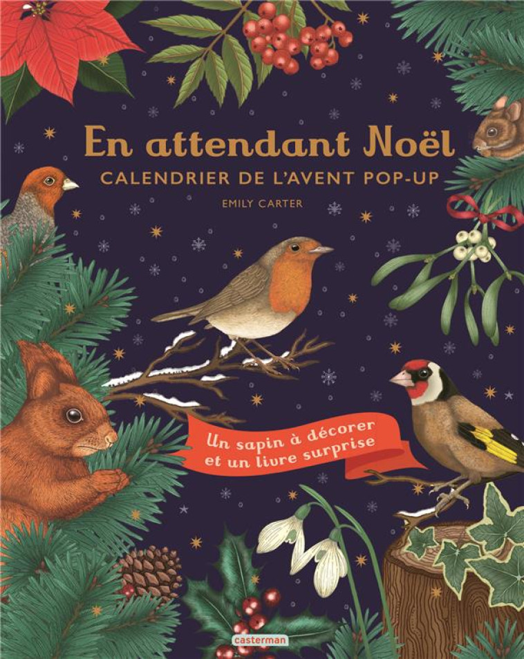 EN ATTENDANT NOEL - CALENDRIER DE L-AVENT POP-UP - CARTER EMILY - CASTERMAN