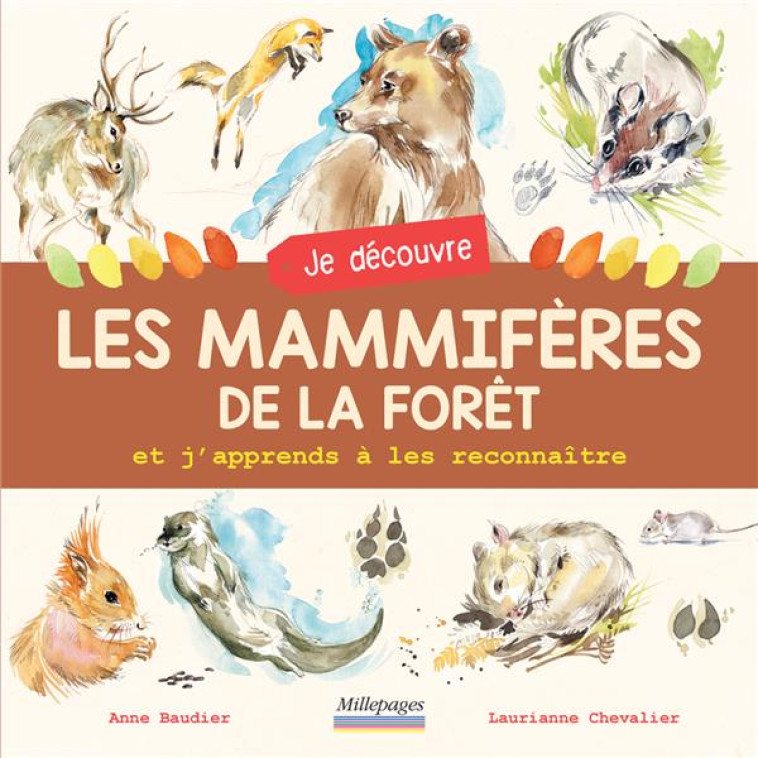 JE DECOUVRE LES MAMMIFERES DE LA FORET - ET J-APPRENDS A LES RECONNAITRE - BAUDIER - CIRCONFLEXE