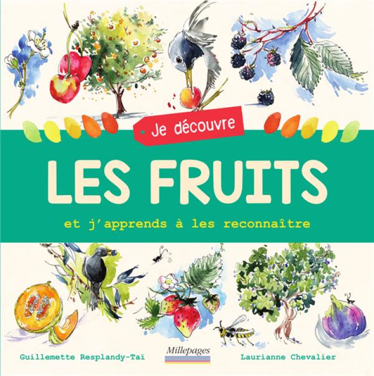 JE DECOUVRE LES FRUITS - ET J-APPRENDS A LES RECONNAITRE - CHEVALLIER - CIRCONFLEXE