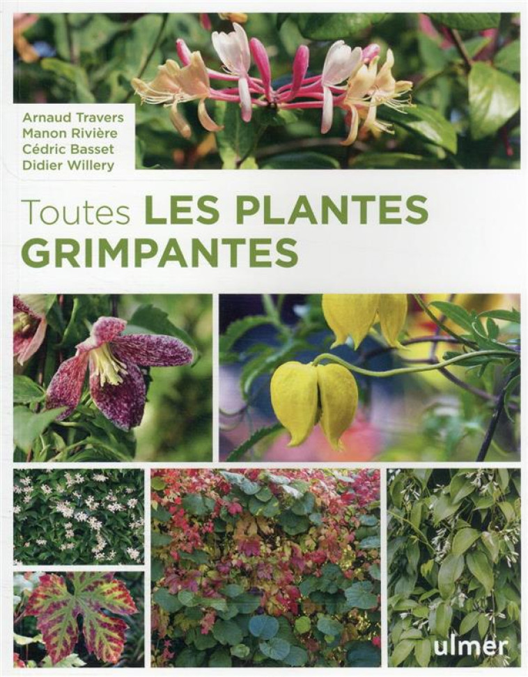 TOUTES LES PLANTES GRIMPANTES - TRAVERS/BASSET - ULMER