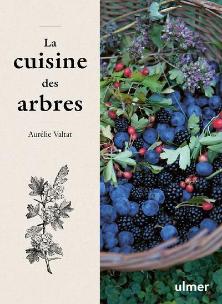 LA CUISINE DES ARBRES - VALTAT AURELIE - ULMER