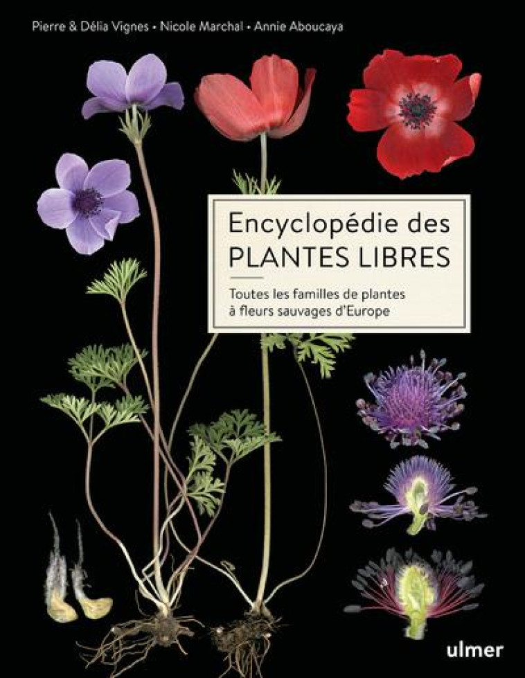 ENCYCLOPEDIE DES PLANTES LIBRES - TOUTES LES FAMILLES DE PLANTES A FLEURS SAUVAGES D-EUROPE - VIGNES/ABOUCAYA - ULMER