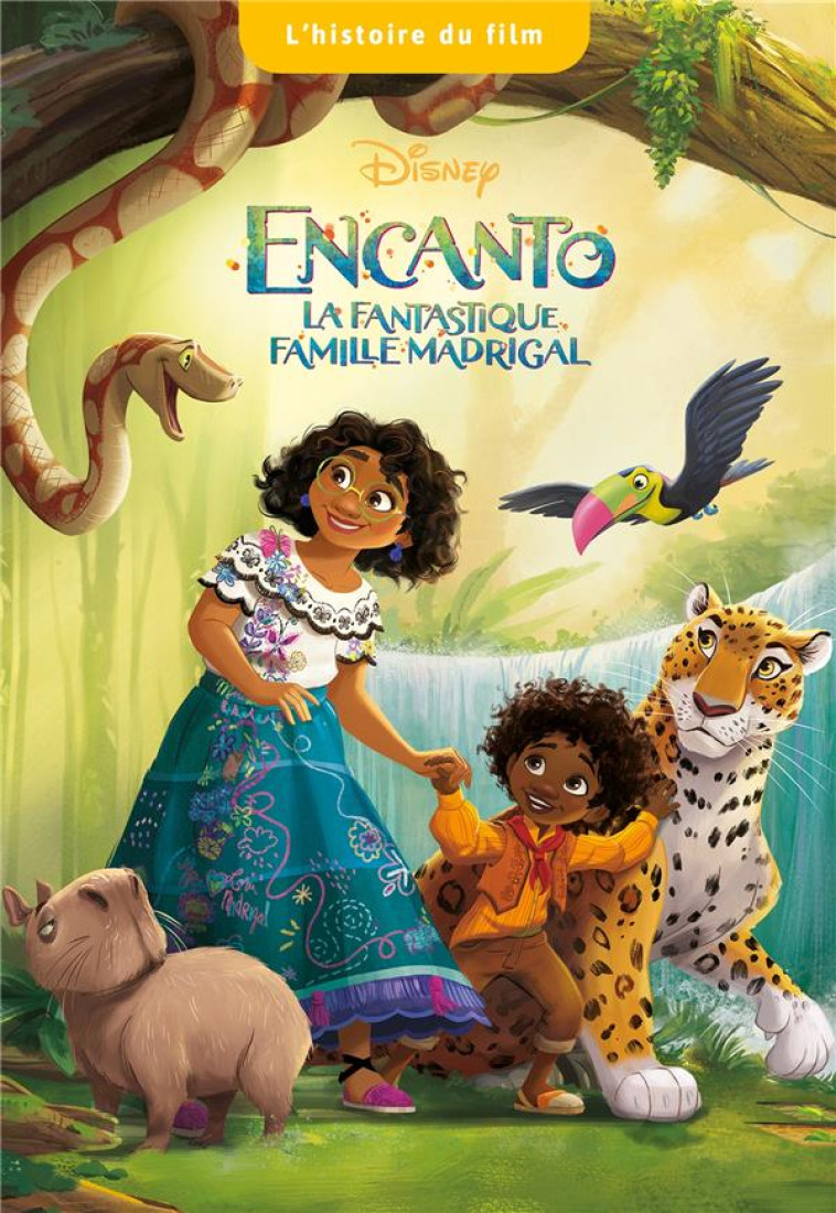 ENCANTO, LA FANTASTIQUE FAMILLE MADRIGAL - L-HISTOIRE DU FILM - DISNEY - COLLECTIF - HACHETTE