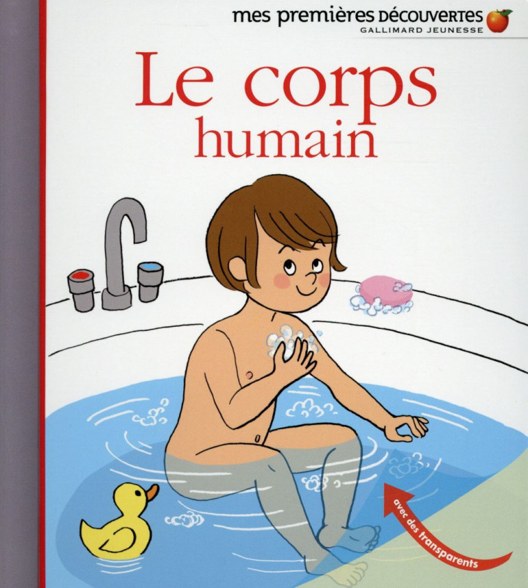 LE CORPS HUMAIN - BAUMANN ANNE-SOPHIE - Gallimard-Jeunesse