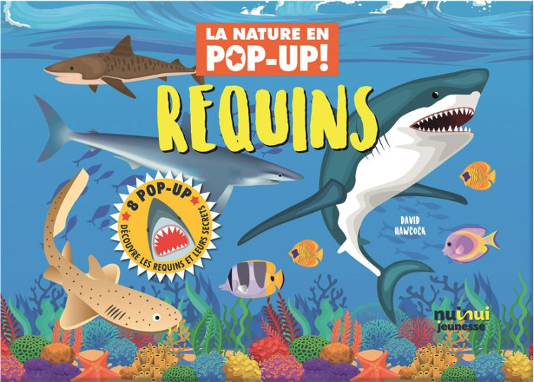 REQUINS - HAWCOCK DAVID - NUINUI JEUNESSE