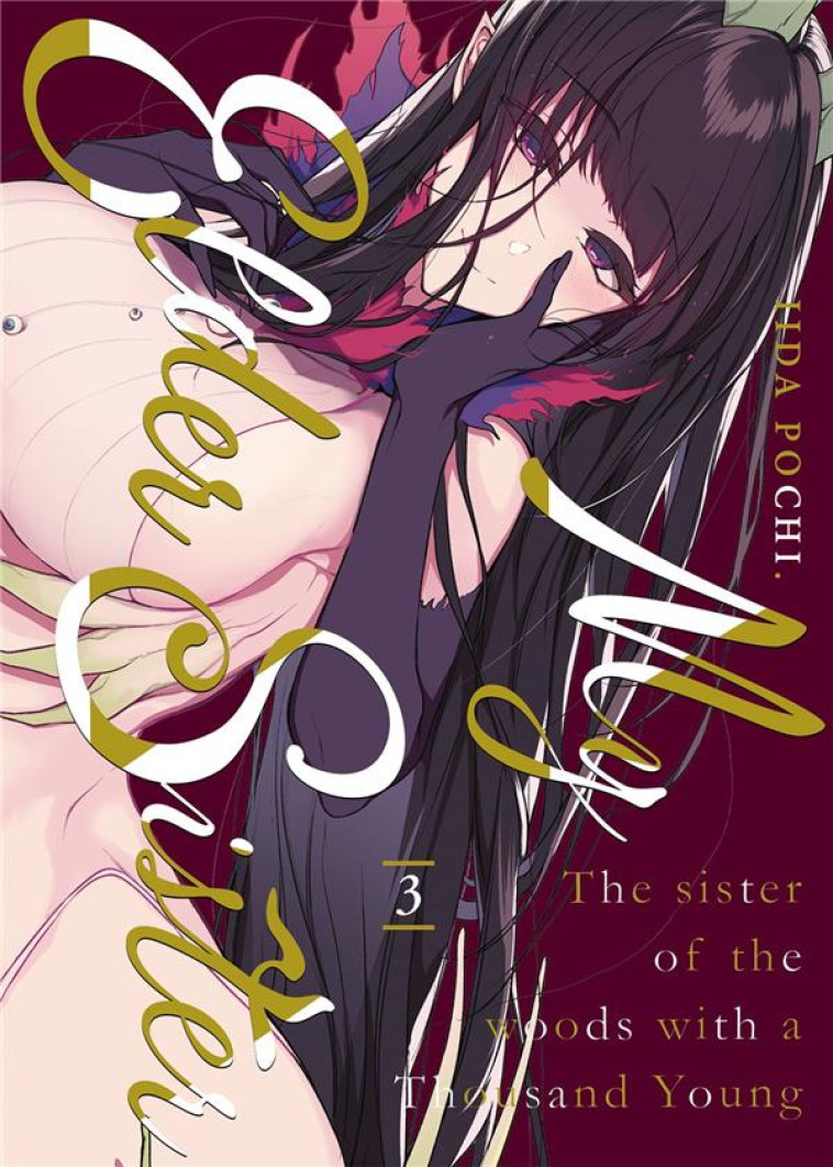 MY ELDER SISTER - TOME 3 - POCHI IIDA - MEIAN