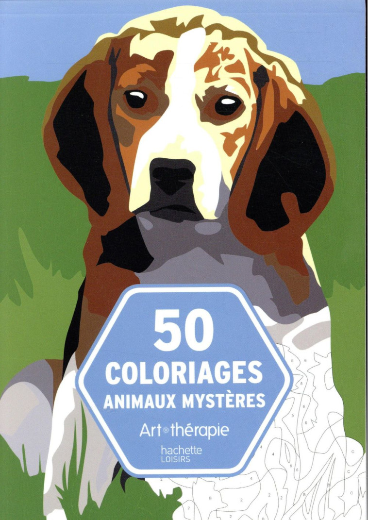 ART-THERAPIE : 50 COLORIAGES ANIMAUX MYSTERES - JAUNATRE, VINCENT - HACHETTE