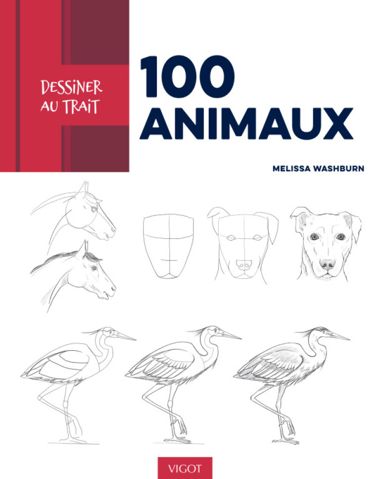 DESSINER AU TRAIT 100 ANIMAUX - Melissa Washburn - VIGOT