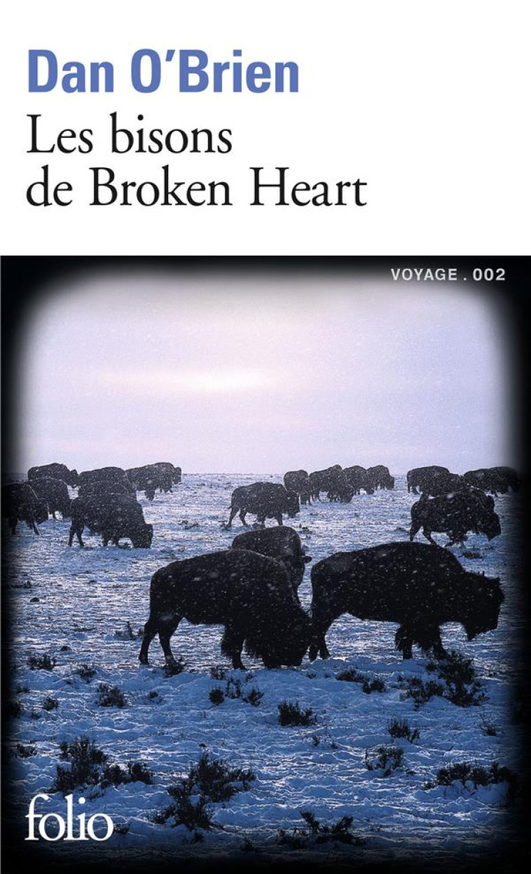 LES BISONS DE BROKEN HEART - O-BRIEN DAN - GALLIMARD