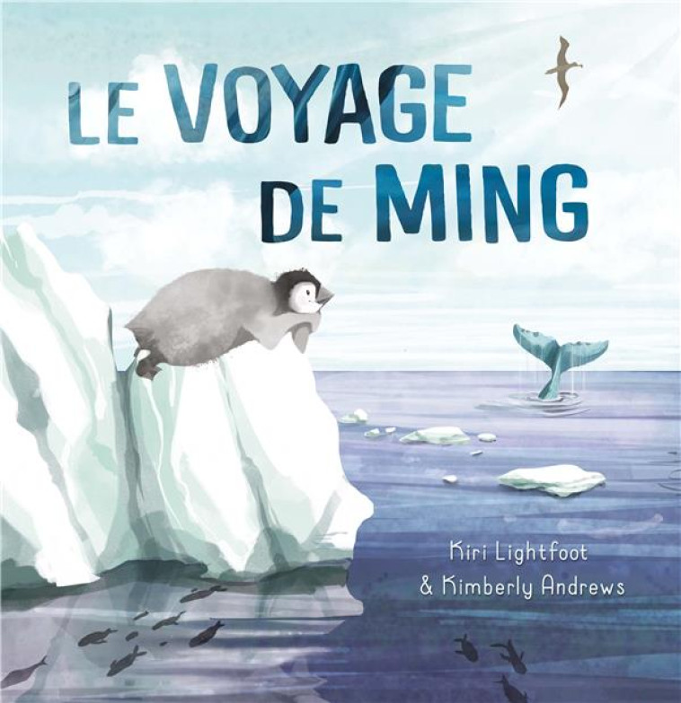 ALBUMS - HISTOIRES - LE VOYAGE DE MING - ANDREW - 1 2 3 SOLEIL