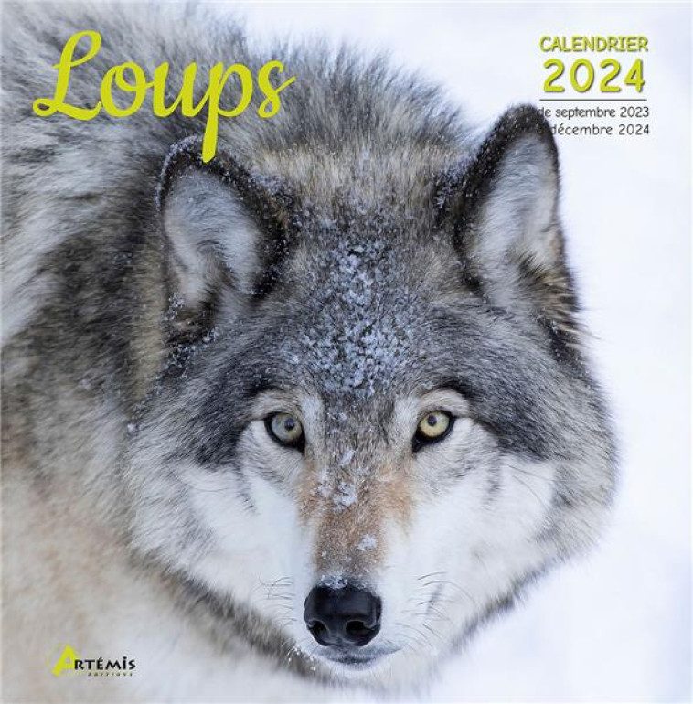 CALENDRIER LOUPS 2024 - XXX - NC