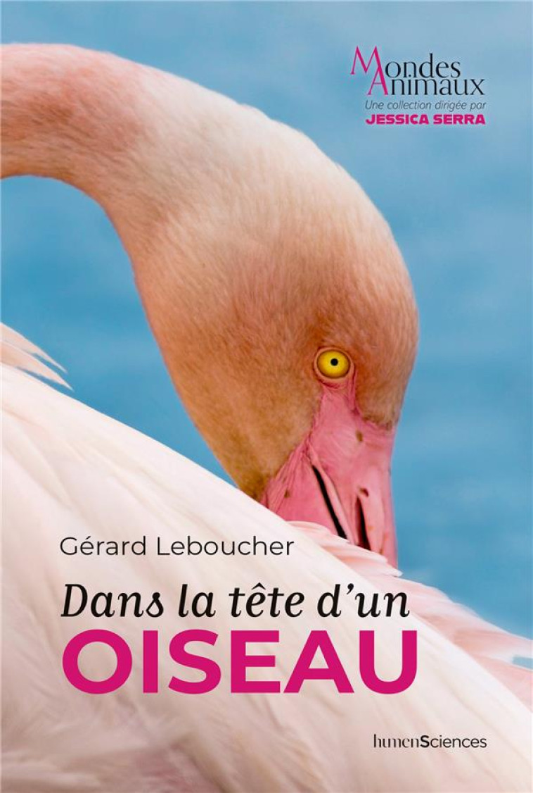 DANS LA TETE D-UN OISEAU - LEBOUCHER - HUMENSCIENCES