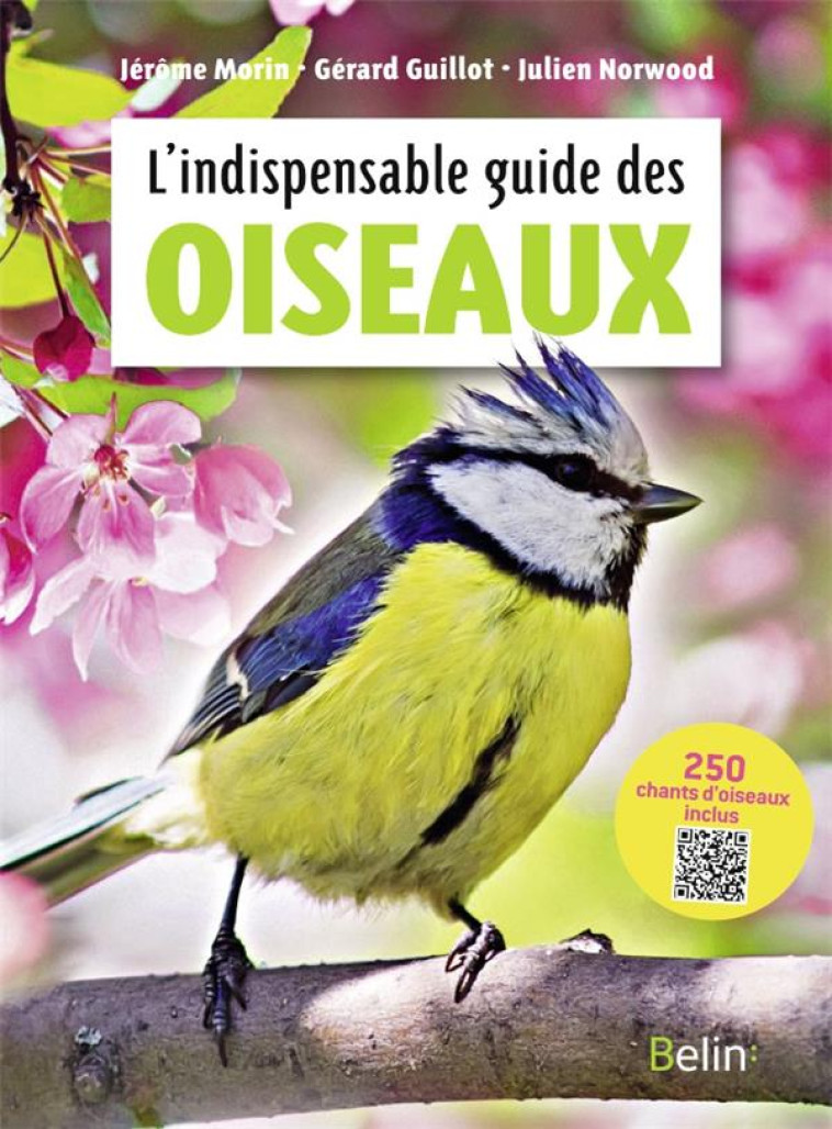 L-INDISPENSABLE GUIDE DES OISEAUX - GUILLOT/NORWOOD - DORLING KINDERS