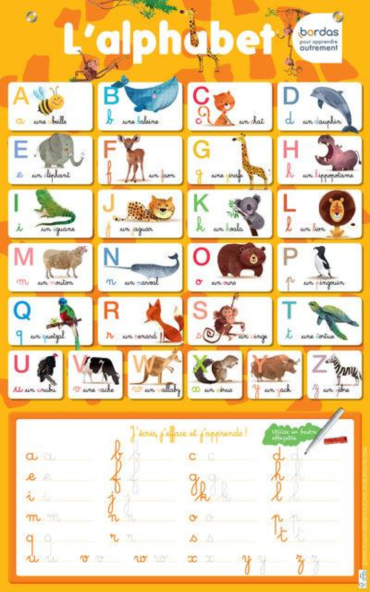 LES POSTERS EFFACABLES - L-ALPHABET - COLLECTIF - Bordas