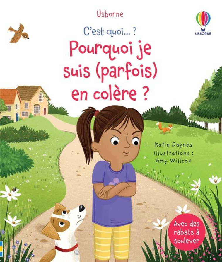 POURQUOI JE SUIS (PARFOIS) EN COLERE ? - C-EST QUOI ? - DES 3 ANS - DAYNES/WILLCOX/RYDER - NC