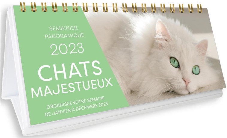 SEMAINIER PANORAMIQUE 2023 - CHATS MAJESTUEUX - CALENDRIER 1 PHOTO PAR SEMAINE - XXX - NC