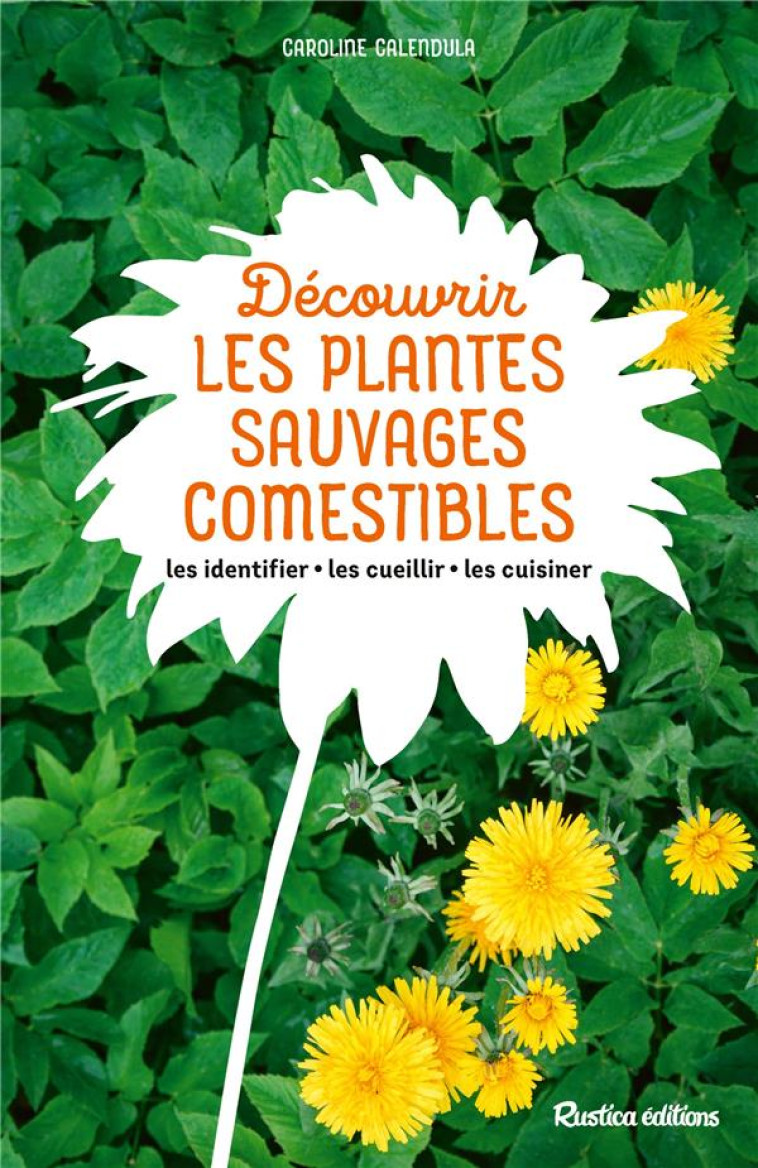 DECOUVRIR LES PLANTES SAUVAGES COMESTIBLES - CALENDULA CAROLINE - RUSTICA