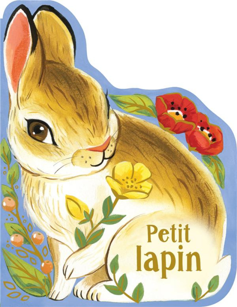 P-TIT CHOU - PETIT LAPIN - WREN/KIRWAN - PRESSE AVENTURE