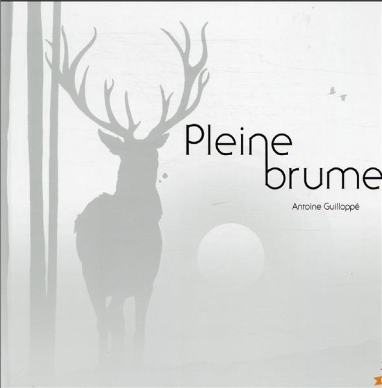 PLEINE BRUME - GUILLOPPE ANTOINE - HACHETTE