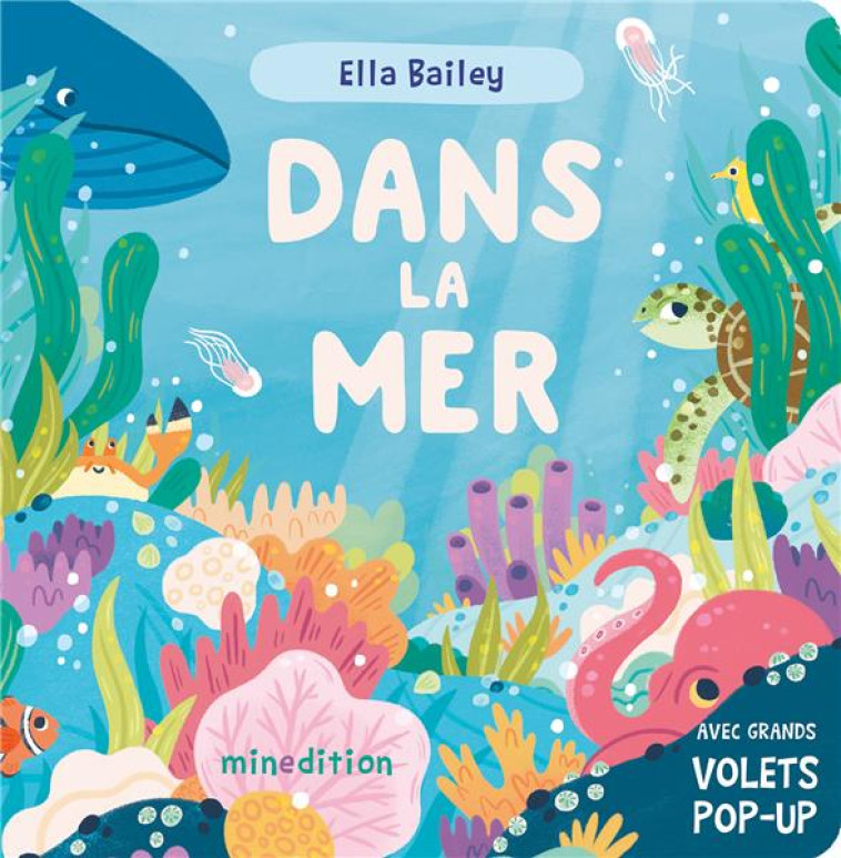 DANS LA MER - BAILEY/BILGRAMI - MINEDITION