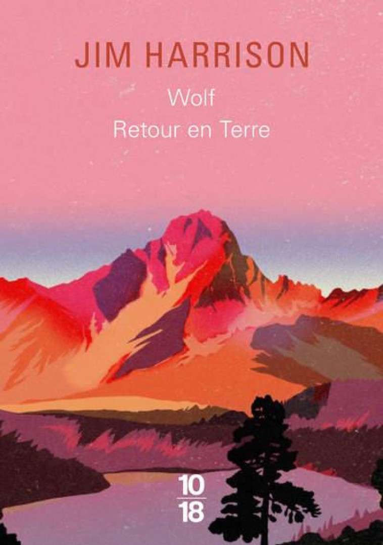 WOLF / RETOUR EN TERRE - HARRISON - 10 X 18