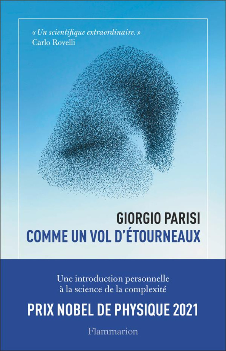 COMME UN VOL D-?TOURNEAUX - GIORGIO PARISI - FLAMMARION