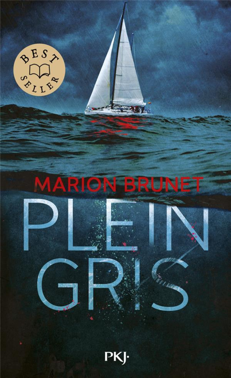 PLEIN GRIS - MARION BRUNET - POCKET