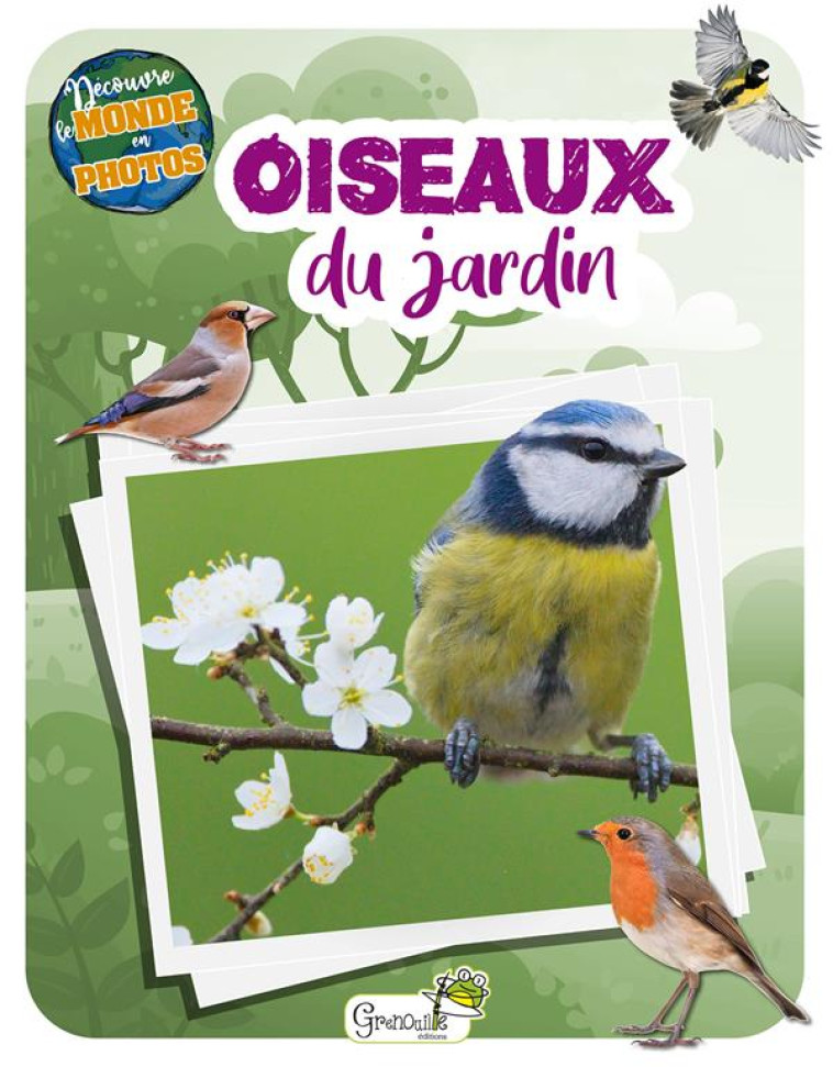 LES OISEAUX DU JARDIN - DECOUVRE LE MONDE EN PHOTOS - XXX - GRENOUILLE