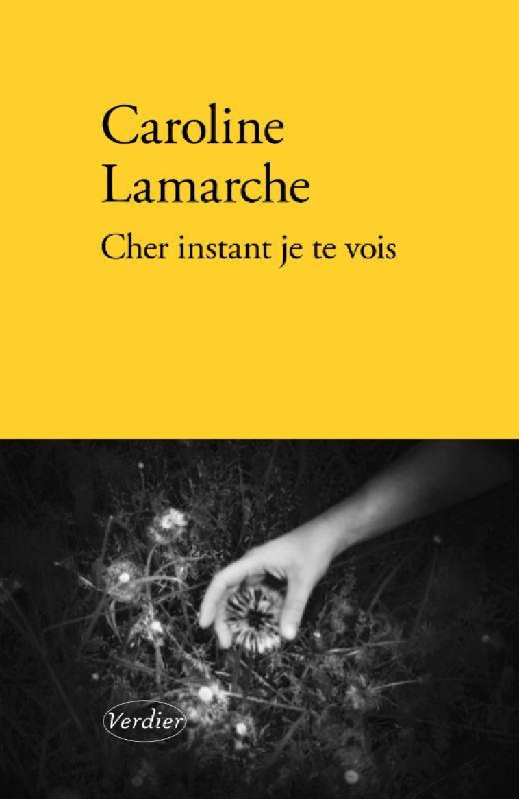 CHER INSTANT JE TE VOIS - CAROLINE LAMARCHE - VERDIER