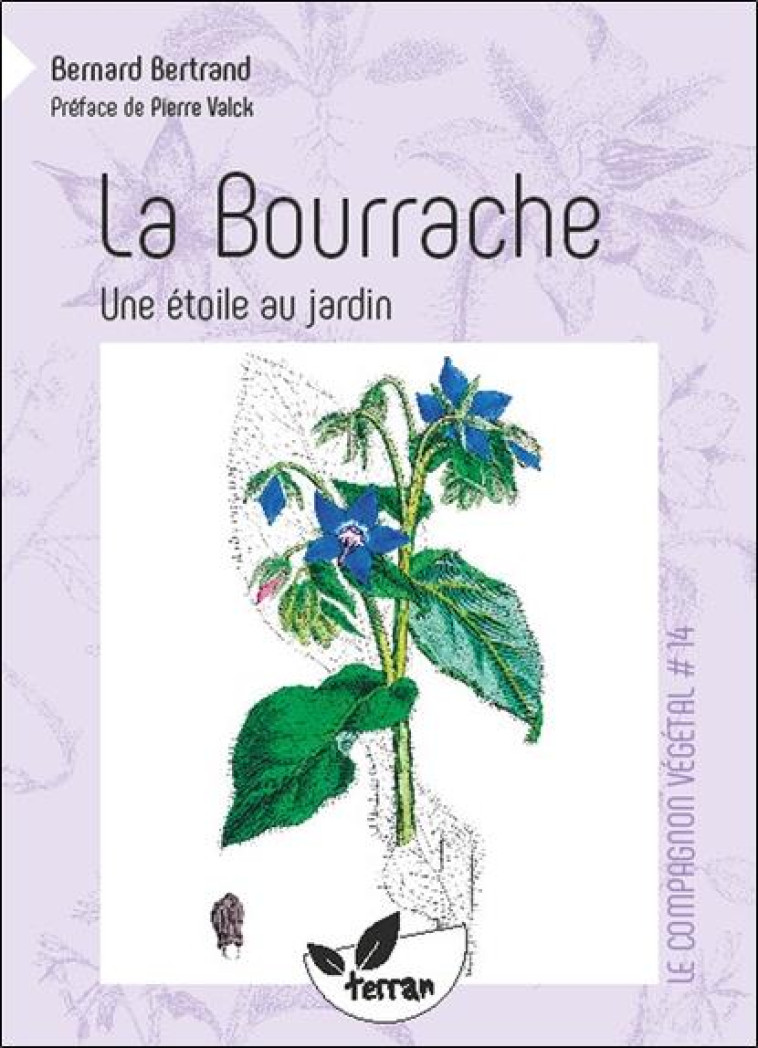 LA BOURRACHE - UNE ?TOILE AU JARDIN - VOL. 14 - BERNARD BERTRAND - DE TERRAN