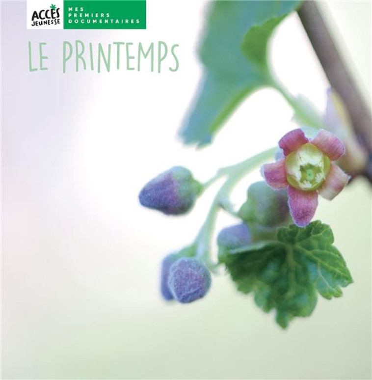 LE PRINTEMPS - DORNER CHRISTINA - ACCES