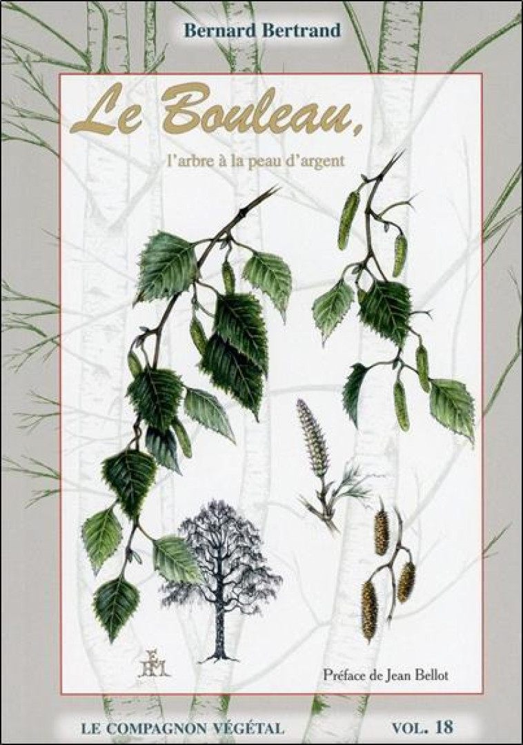 LE BOULEAU, L-ARBRE ? LA PEAU D-ARGENT - VOL. 18 - BERNARD BERTRAND - DE TERRAN