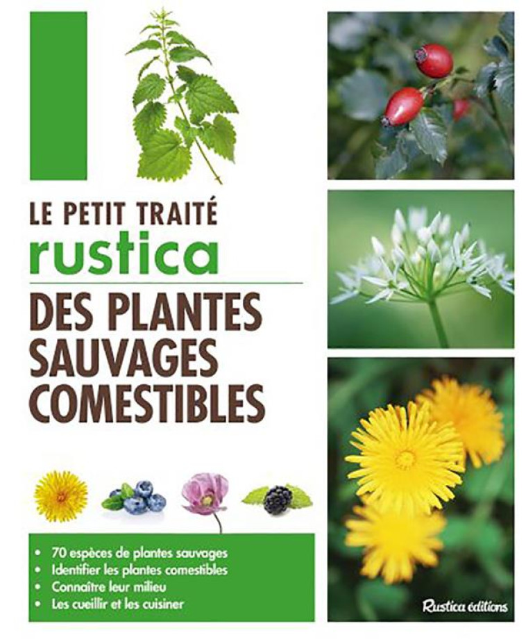 LE PETIT TRAITE RUSTICA DES PLANTES SAUVAGES COMESTIBLES - 70 ESPECES DE PLANTES SAUVAGES - IDENTIFI - CALENDULA/MONPLAISIR - Rustica