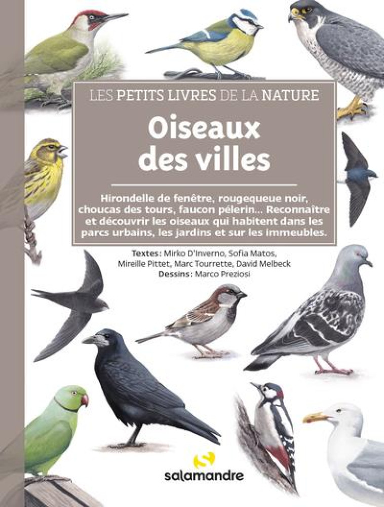 OISEAUX DES VILLES - LES PETITS LIVRES DE LA NATURE - MIREILLE PITTET - LA SALAMANDRE