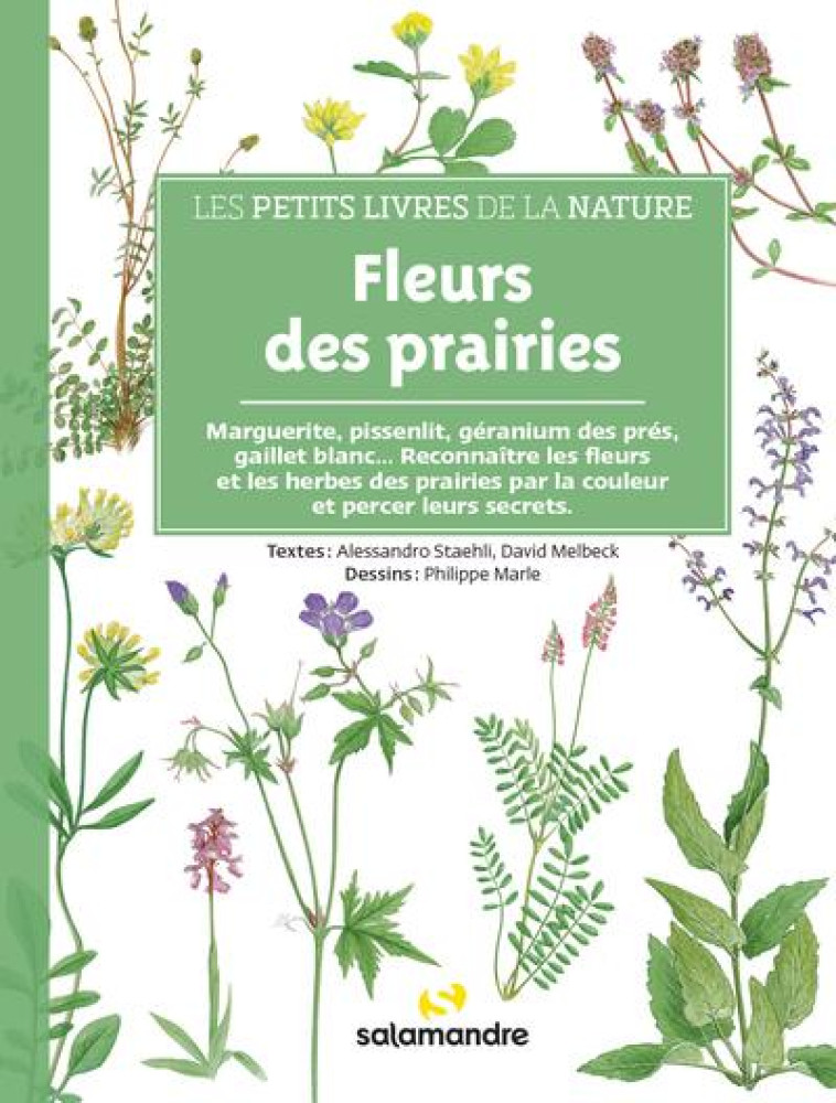 FLEURS DES PRAIRIES - LES PETITS LIVRES DE LA NATURE - ALESSANDRO STAEHLI - LA SALAMANDRE