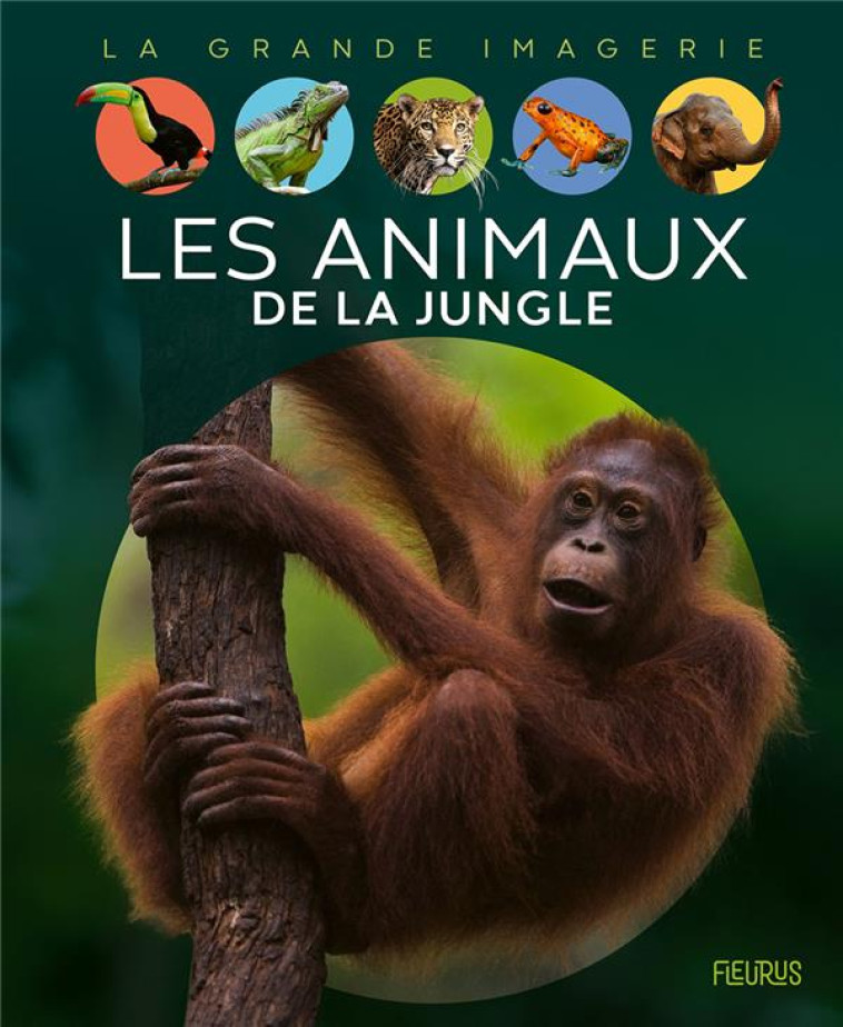 LES ANIMAUX DE LA JUNGLE - CHAUVELOT RAPHAELLE - FLEURUS