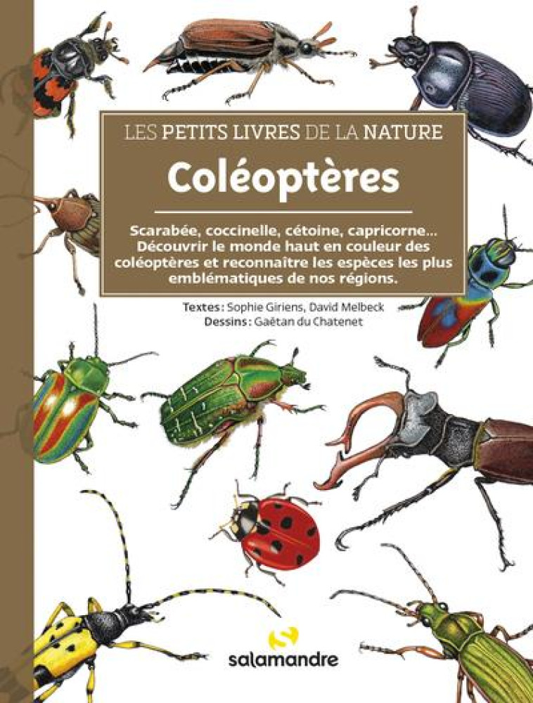 LES PETITS LIVRES DE LA NATURE - COLÉOPTÈRES - MARC TOURRETTE - LA SALAMANDRE