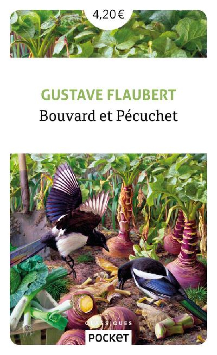 BOUVARD ET PÉCUCHET - GUSTAVE FLAUBERT - POCKET