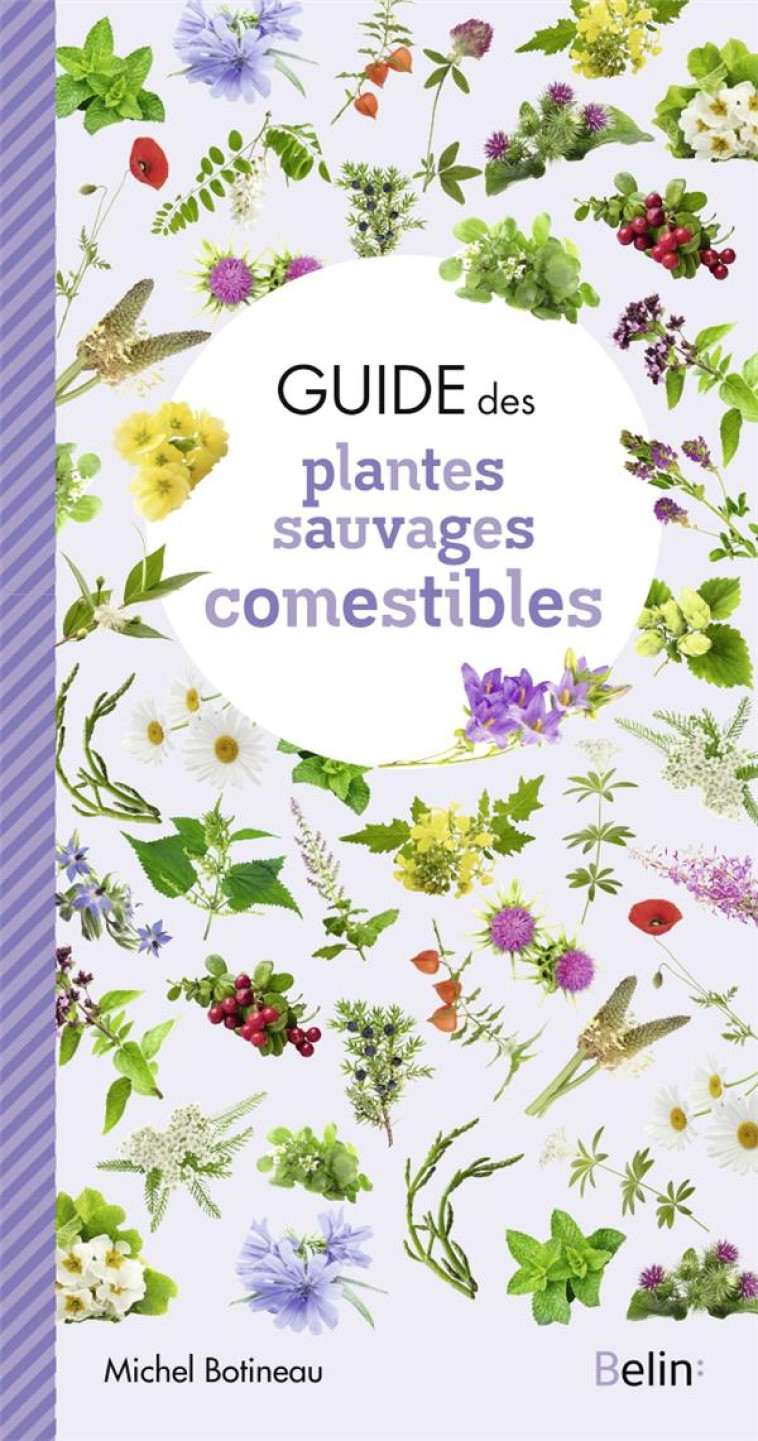 GUIDE DES PLANTES SAUVAGES COMESTIBLES - BOTINEAU MICHEL - DORLING KINDERS