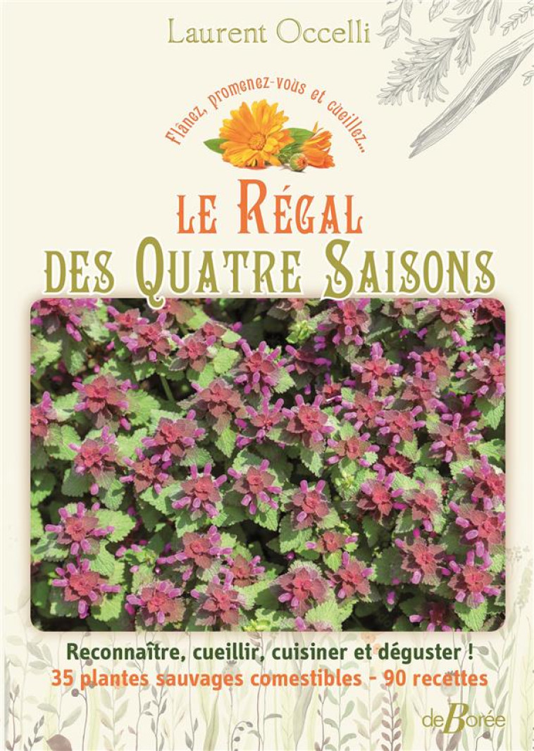 LE RÉGAL DES QUATRE SAISONS - LAURENT OCCELLI - DE BOREE