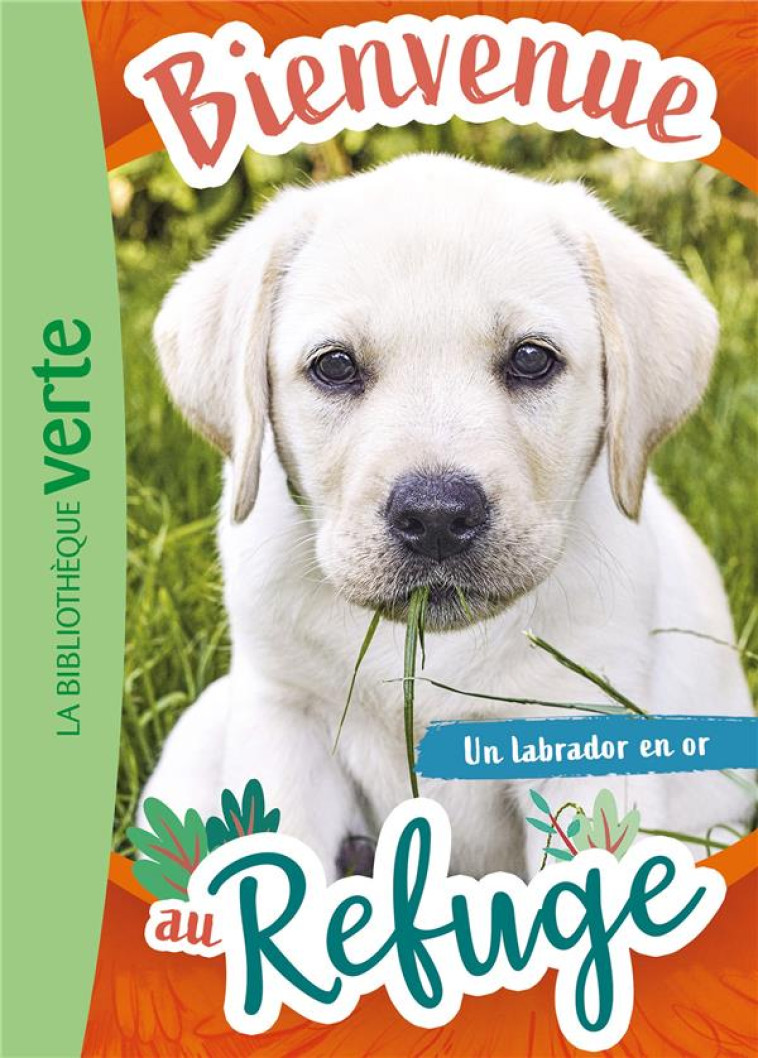 BIENVENUE AU REFUGE 08 - UN LABRADOR EN OR - HACHETTE LIVRE - HACHETTE