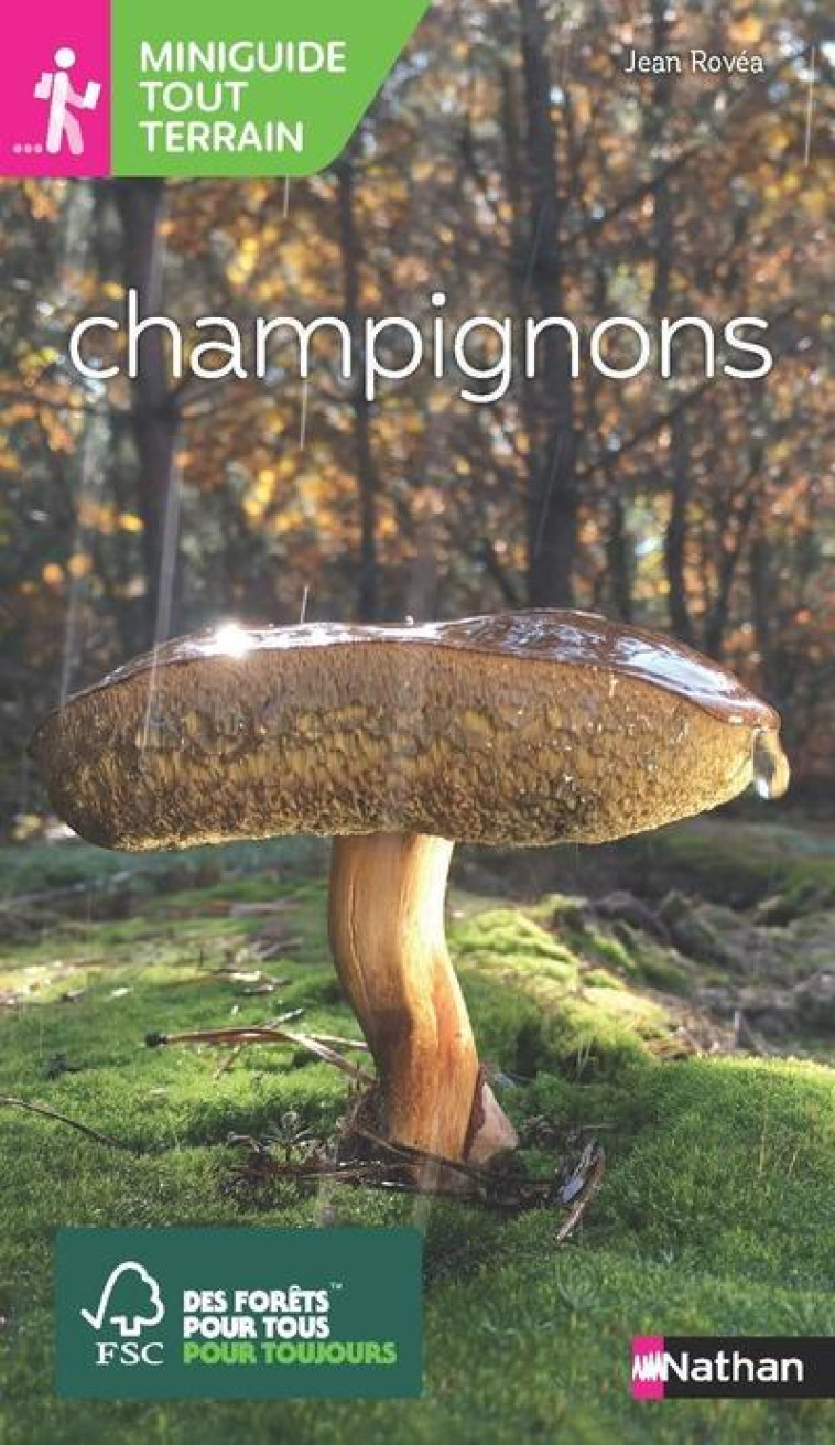 MINIGUIDE TOUT TERRAIN - CHAMPIGNONS - JEAN ROVEA - CLE INTERNAT