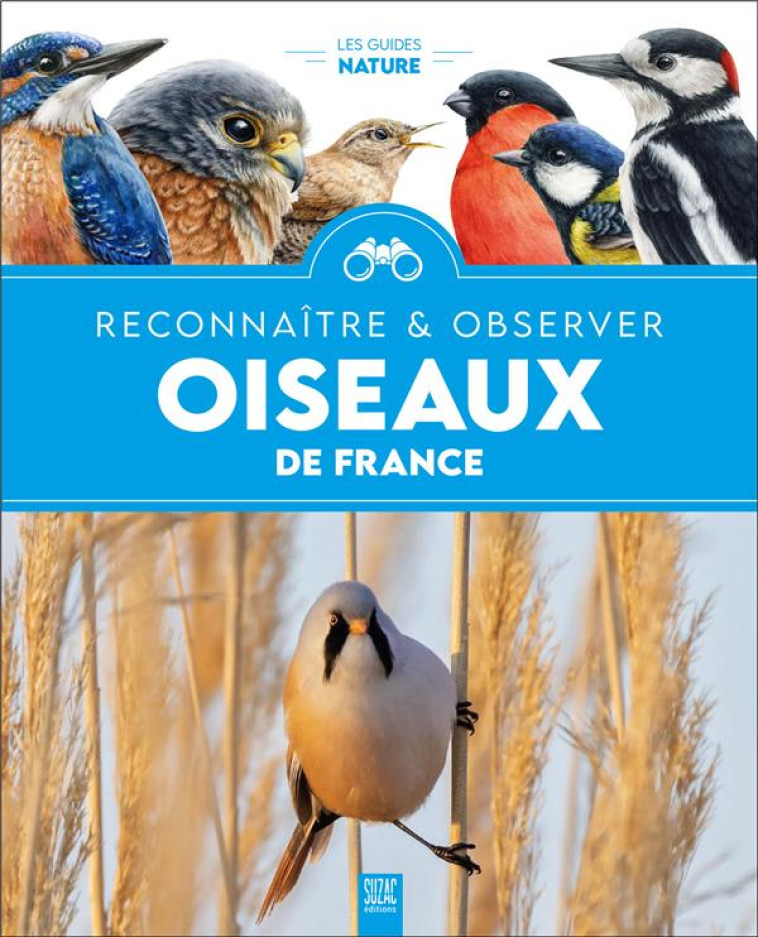 OISEAUX DE FRANCE, RECONNAÎTRE & OBSERVER - COLLECTIF - DU LUMIGNON