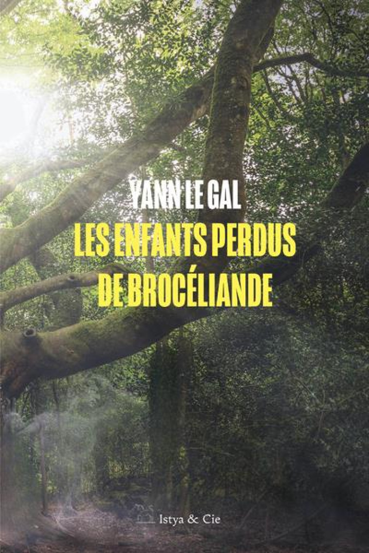 LES ENFANTS PERDUS DE BROCÉLIANDE - YANN LE GAL - SLATKINE